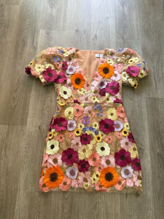 Elliatt Dresses & Skirts - elliatt rosalind 3 floral applique embellished statement mini dress size XL NEW